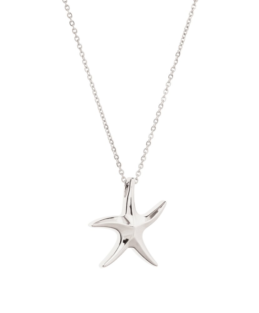 Stainless Starfish Pendant